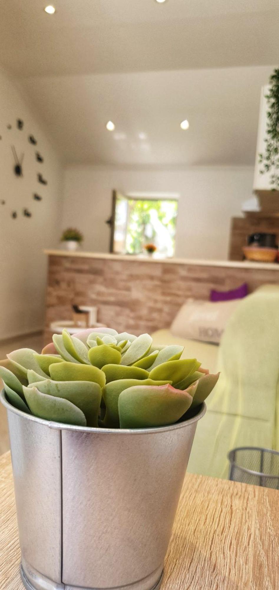 Apartments Marija Vukas Dubrovnik Chambre photo